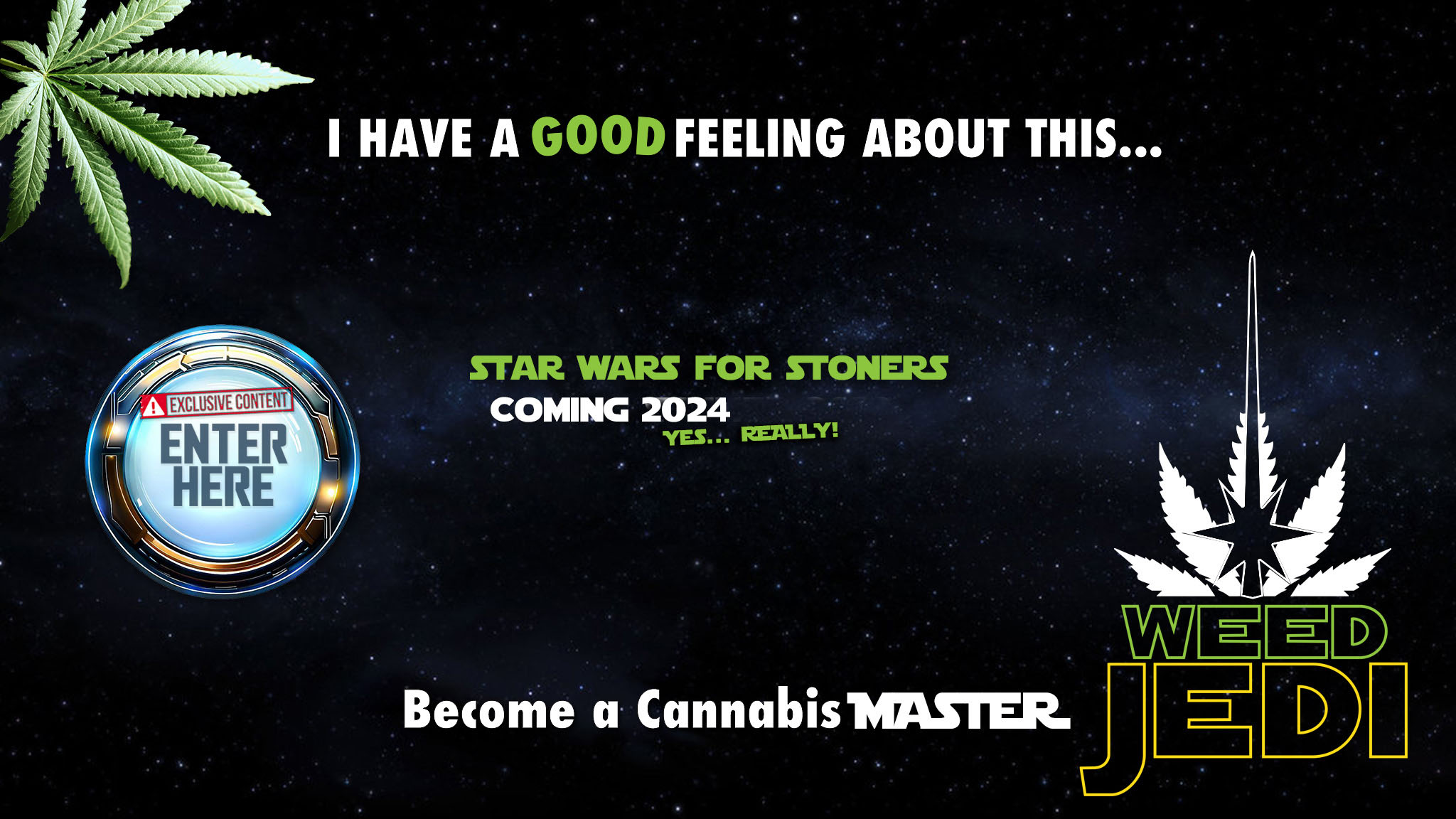 weed jedi Star Wars stoners #starwarsfans #stoner #weedjedi #starwarsmemes